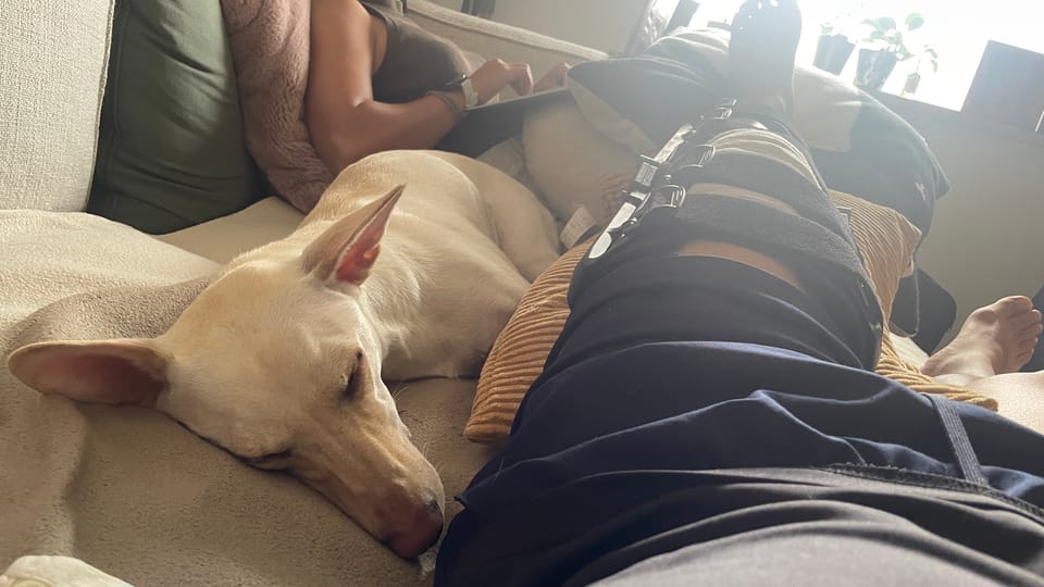 ACL Recovery Week 1 - The Reverse of Tokyo Tower
